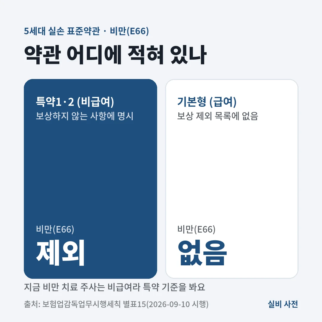 5세대 실손 표준약관에서 비만(E66)은 비급여 특약1·2의 보상 제외 항목이고, 기본형(급여) 제외 목록에는 없어요.