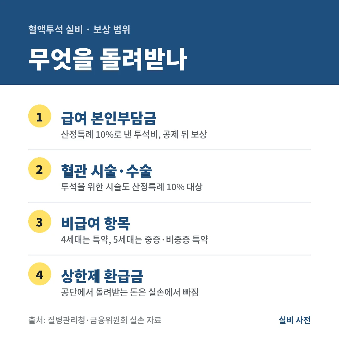 혈액투석 실비는 급여 본인부담금과 혈관 시술비를 보상하고, 비급여는 특약에 따라, 본인부담상한제 환급금은 빠져요.